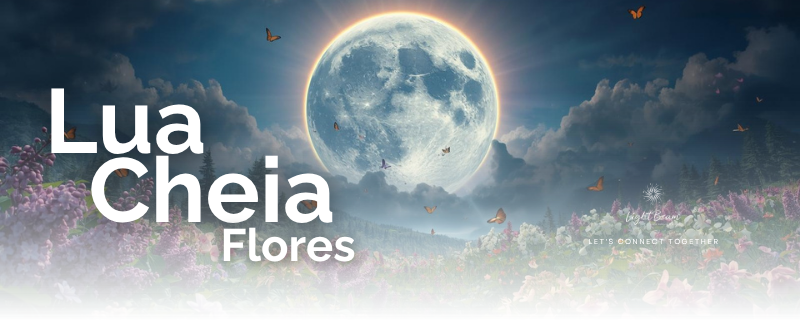 Abraça a abundância desta Lua Cheia 🌕